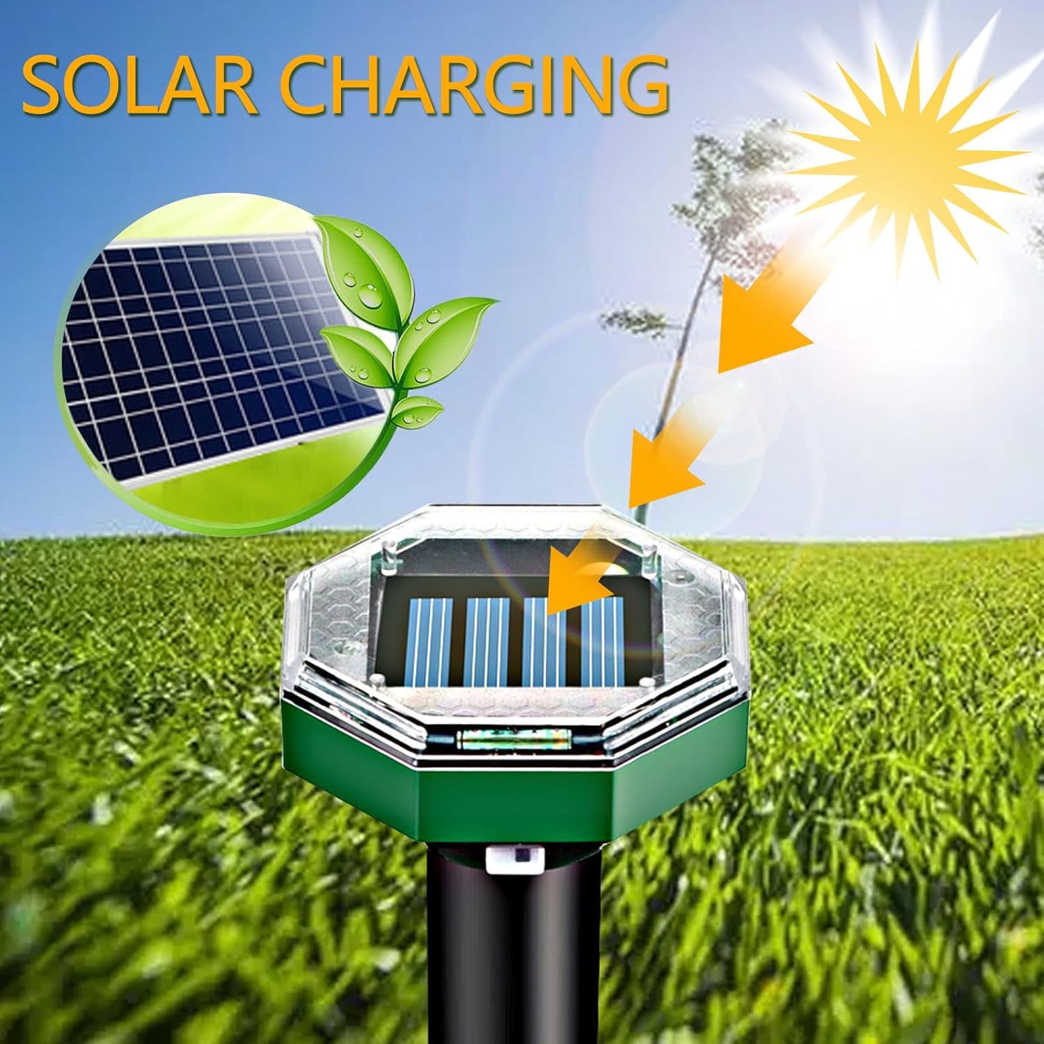 Ainneie Solar Panel close-up highlights efficient energy for continuous operation.