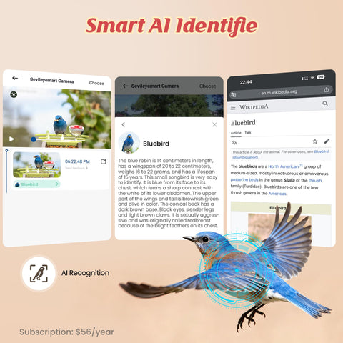 AiPoaaol family-friendly setup lets grandparents teach kids about birds.