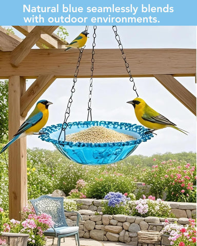 Aiqriwv Nature Blue bird feeder close-up with seeds