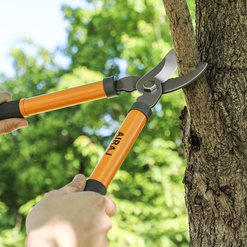 AIRAJ bypass loppers suitable for rose and hedge trimming tasks