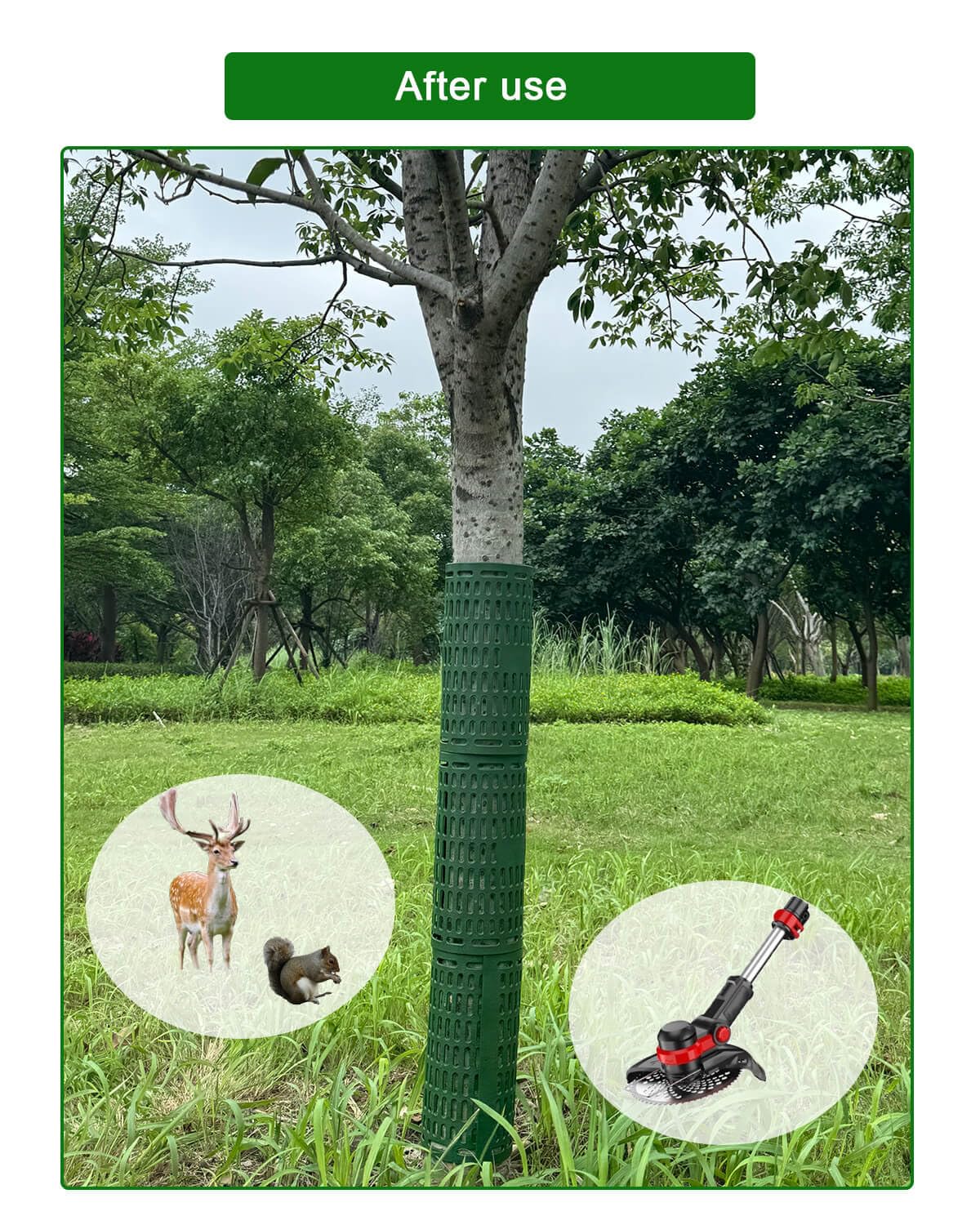 AireKouzia interconnected guards deter wildlife on a tree trunk
