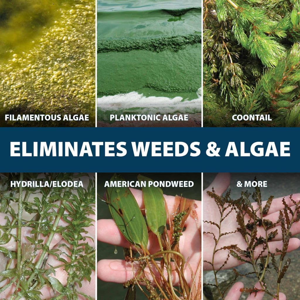 Airmax EasyKlear Chara weed control in a pond.