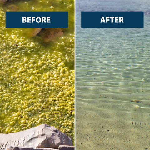 Airmax EasyKlear pond and lake treatment in action near a shoreline.