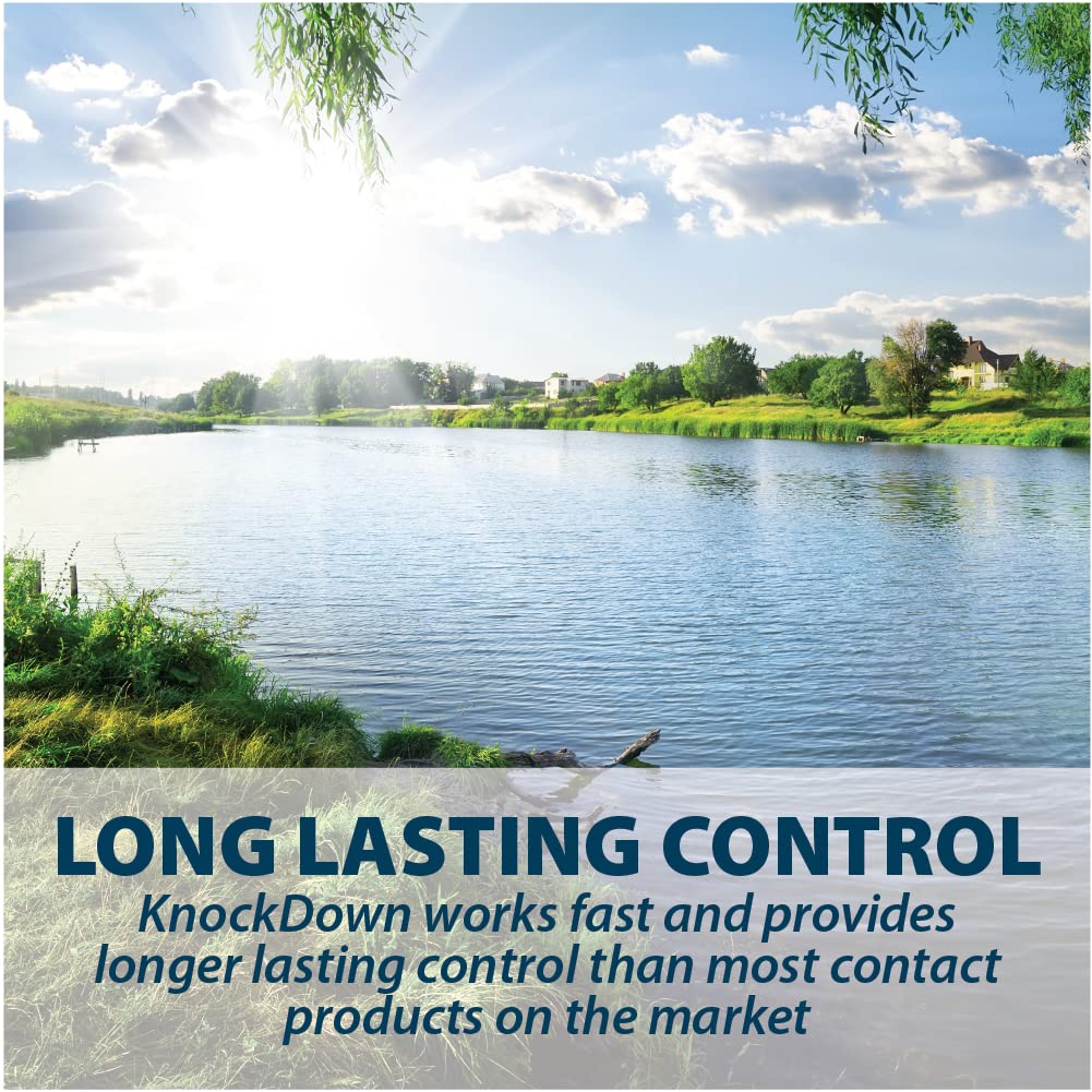 Airmax KnockDown Defense targets duckweed and watermeal for pond aesthetics