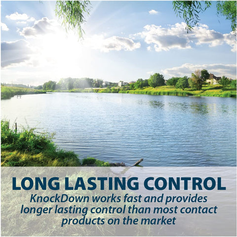 Airmax KnockDown Defense targets duckweed and watermeal for pond aesthetics