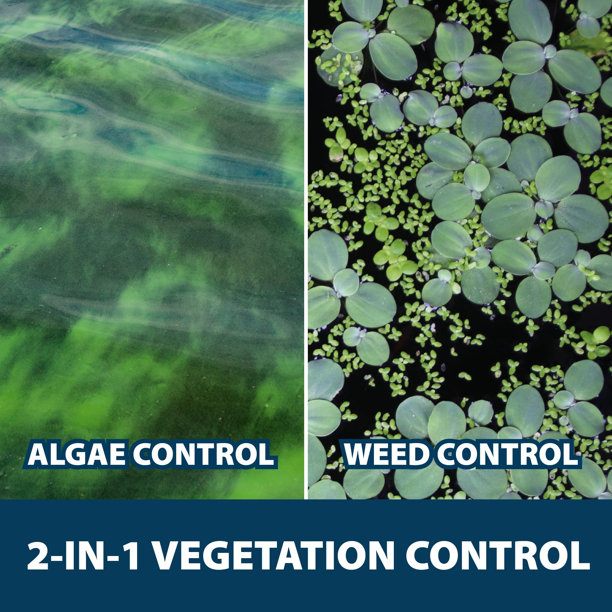 Airmax KnockDown Defense fast action results in clearer pond water