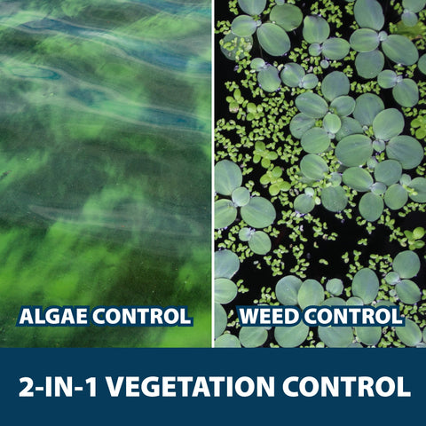 Airmax KnockDown Defense fast action results in clearer pond water