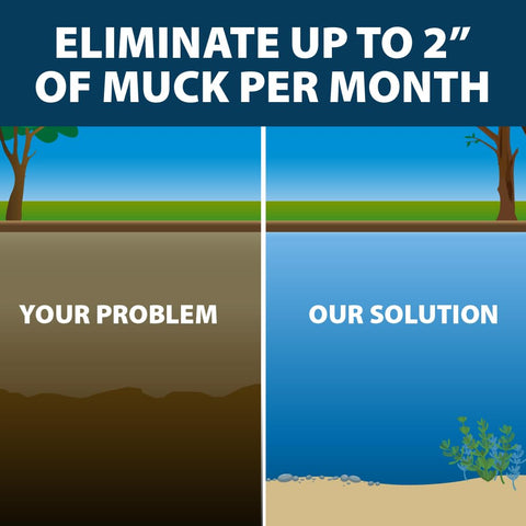 Airmax MuckAway muck reduction supports clearer, healthier pond beds.