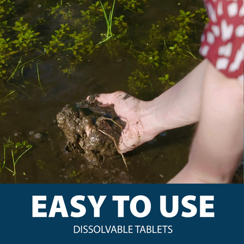 Airmax MuckAway water-clarity improvement promotes cleaner pond water.