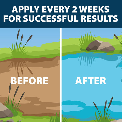 Airmax PondClear promotes clearer water for healthier pond life