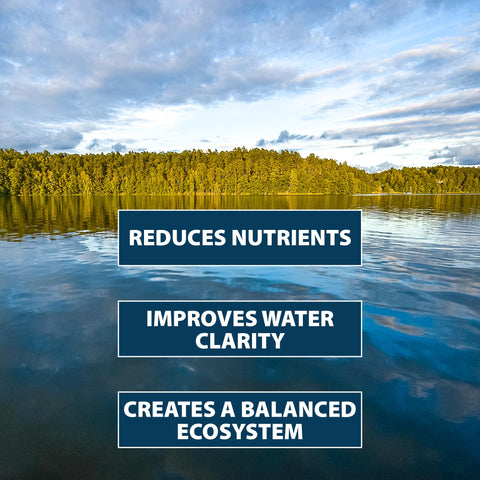 Airmax PondClear EcoBoost PRx binder in action for nutrients control