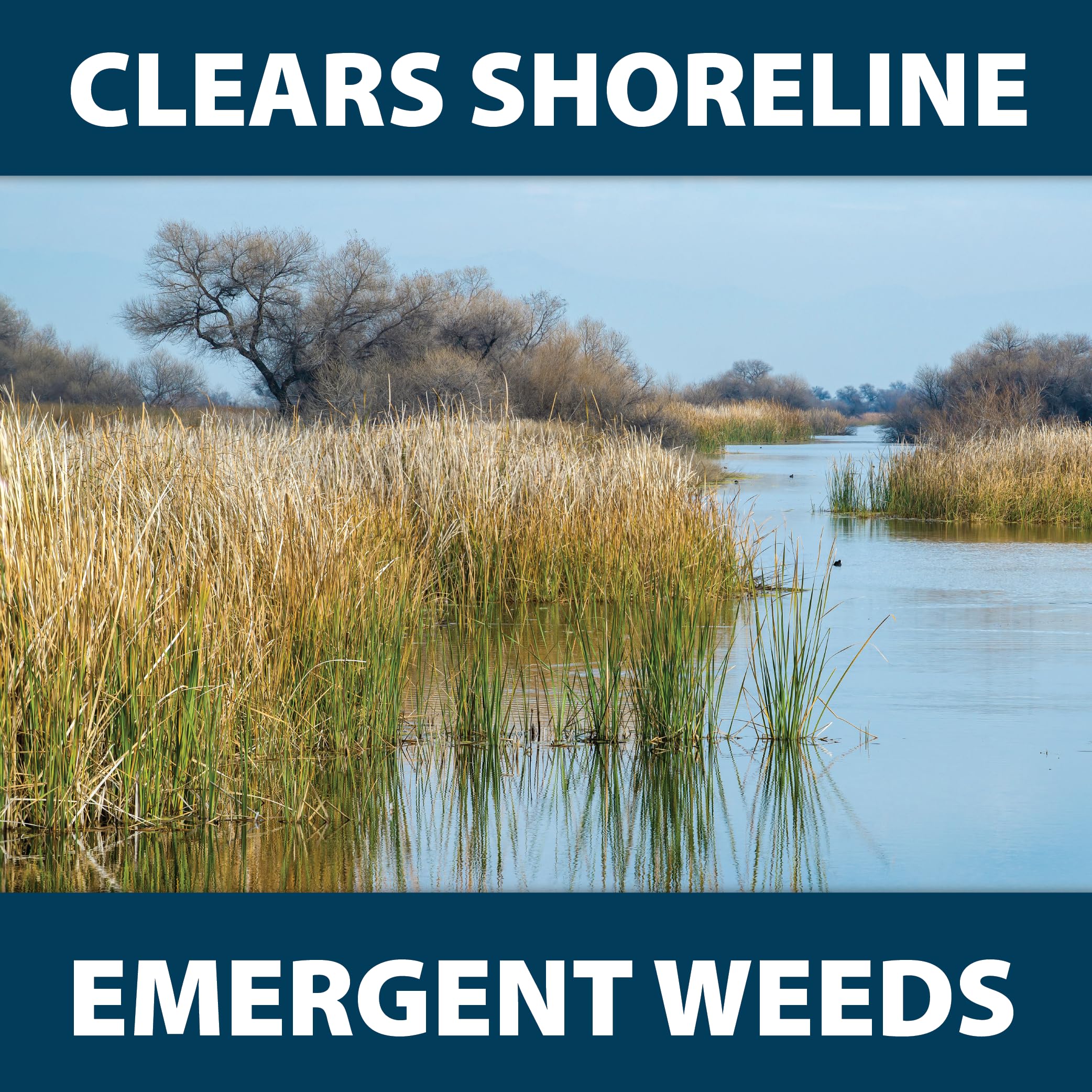 Airmax Shoreline Defense pond-edge-weed focuses on lakefront weed control.