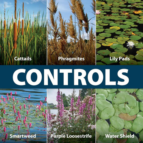 Airmax Shoreline Defense water-edge-treatment suggests reduced weed impact over time.