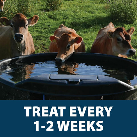 Airmax Stock Tank Defense's beneficial bacteria reduce debris and improve water quality.