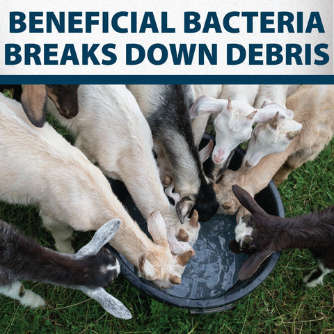 Airmax Stock Tank Defense is safe for horses and cattle.