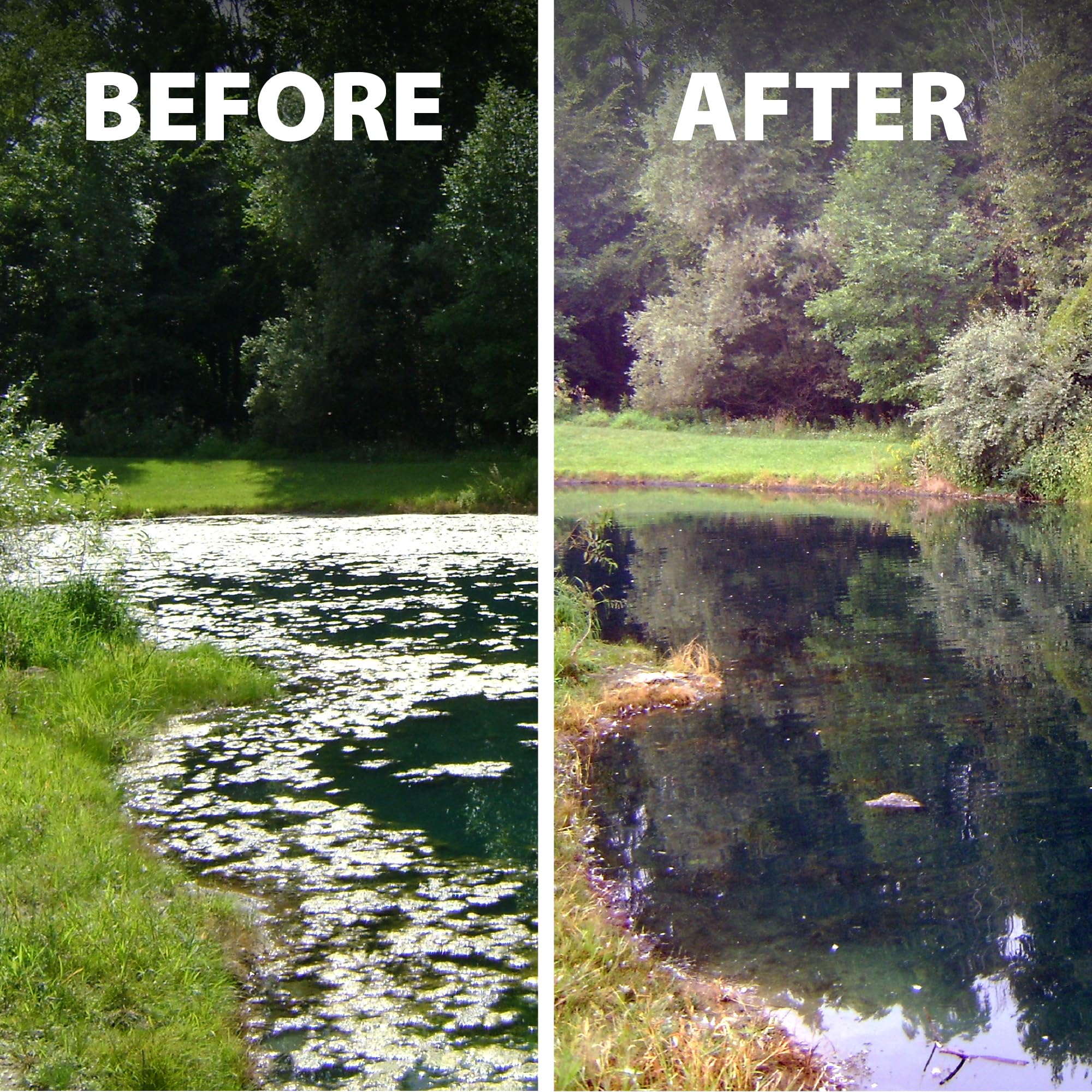 Airmax Treatment Booster Plus Surfactant in tank during application improves spread.