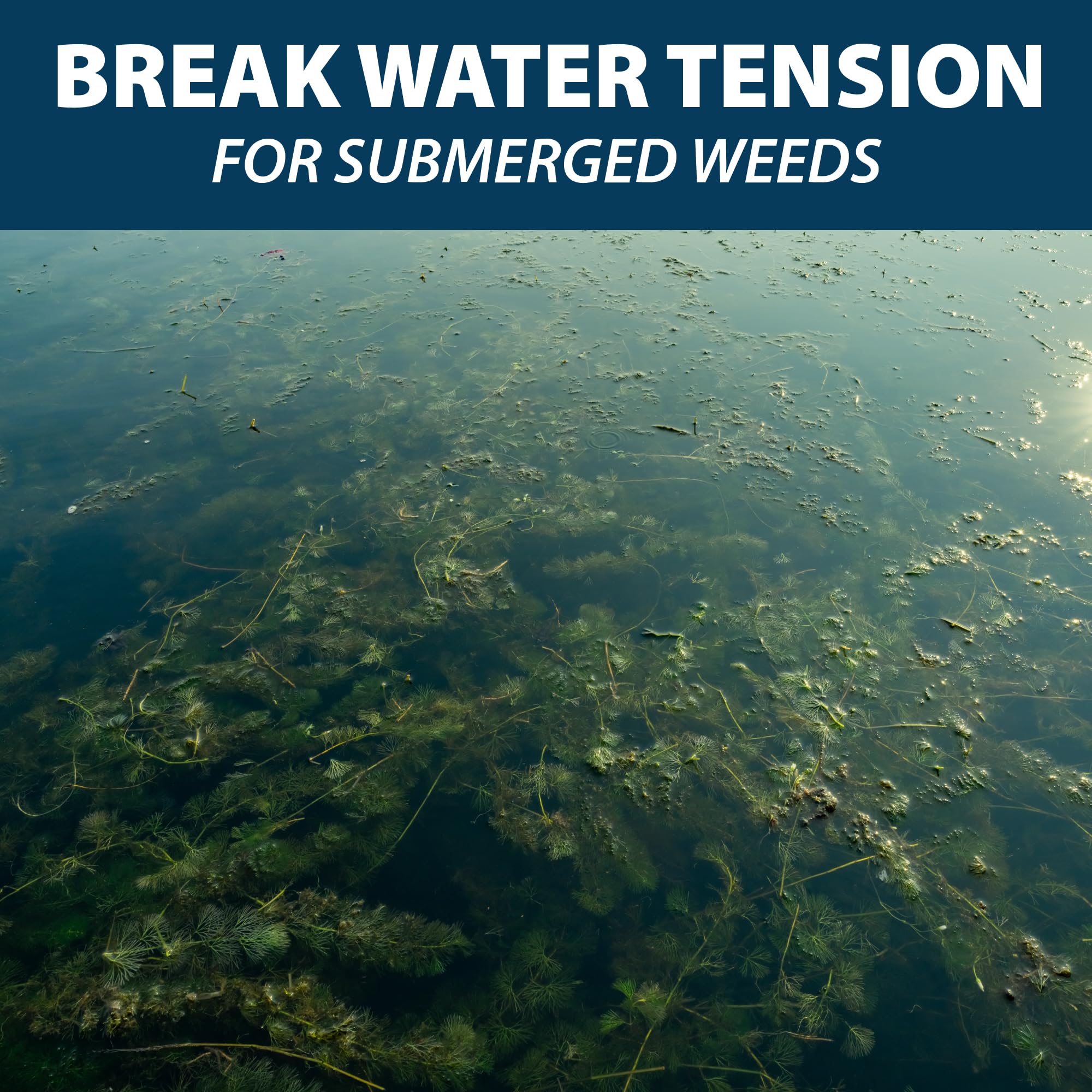 Airmax Treatment Booster Plus Surfactant shown as aquatic-safe when used as directed.
