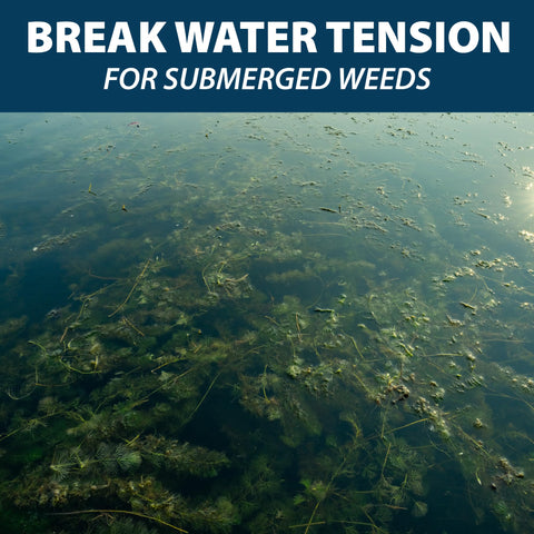 Airmax Treatment Booster Plus Surfactant shown as aquatic-safe when used as directed.