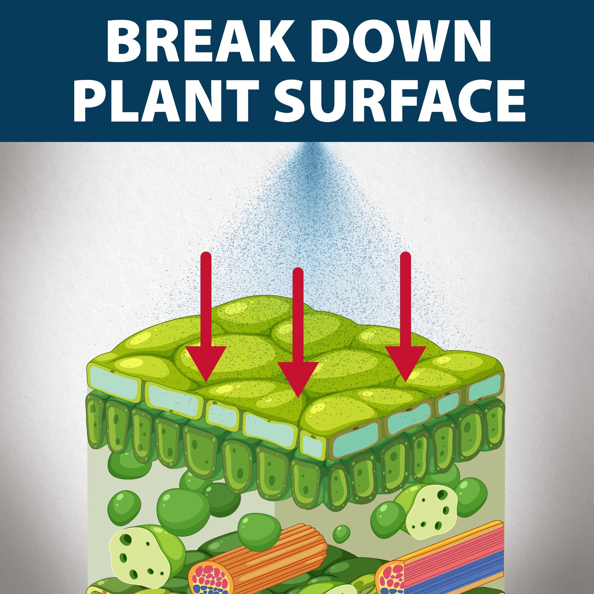 Airmax Treatment Booster Plus Surfactant label with usage guidance visible.