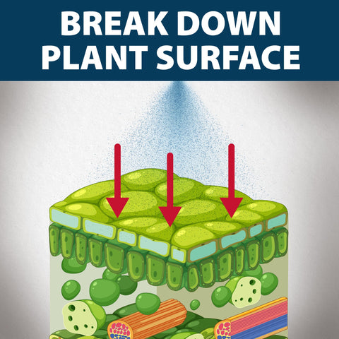 Airmax Treatment Booster Plus Surfactant label with usage guidance visible.