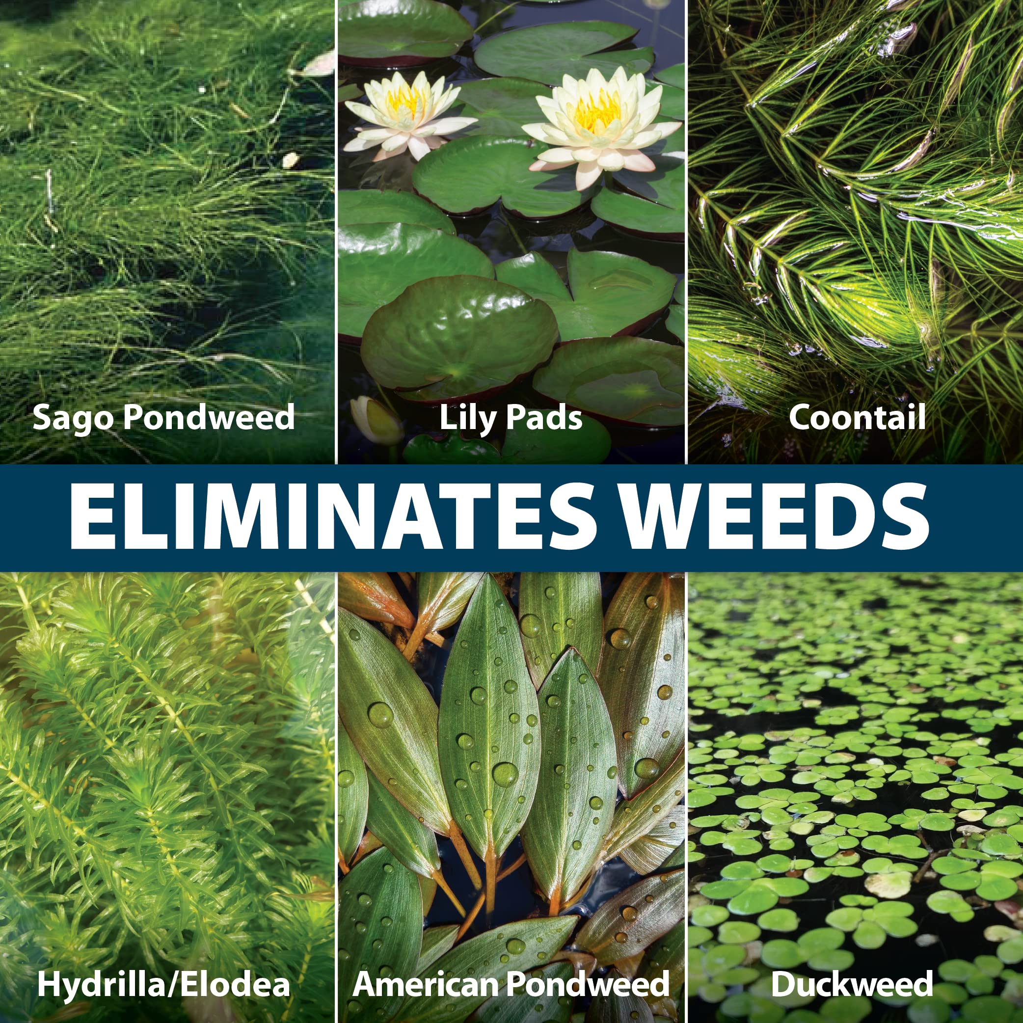 Airmax Wipeout mixing step shows easy dilution for pond-wide treatment.