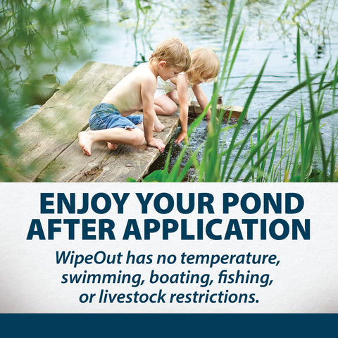 Airmax Wipeout treats the entire pond from shoreline in one application.