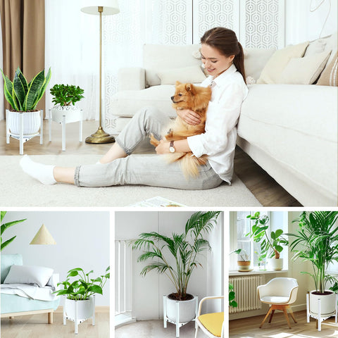 Airpark corner space saver creates an elevated plant display.