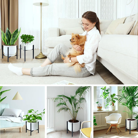 Airpark non-slip feet protect floors during indoor and outdoor use.