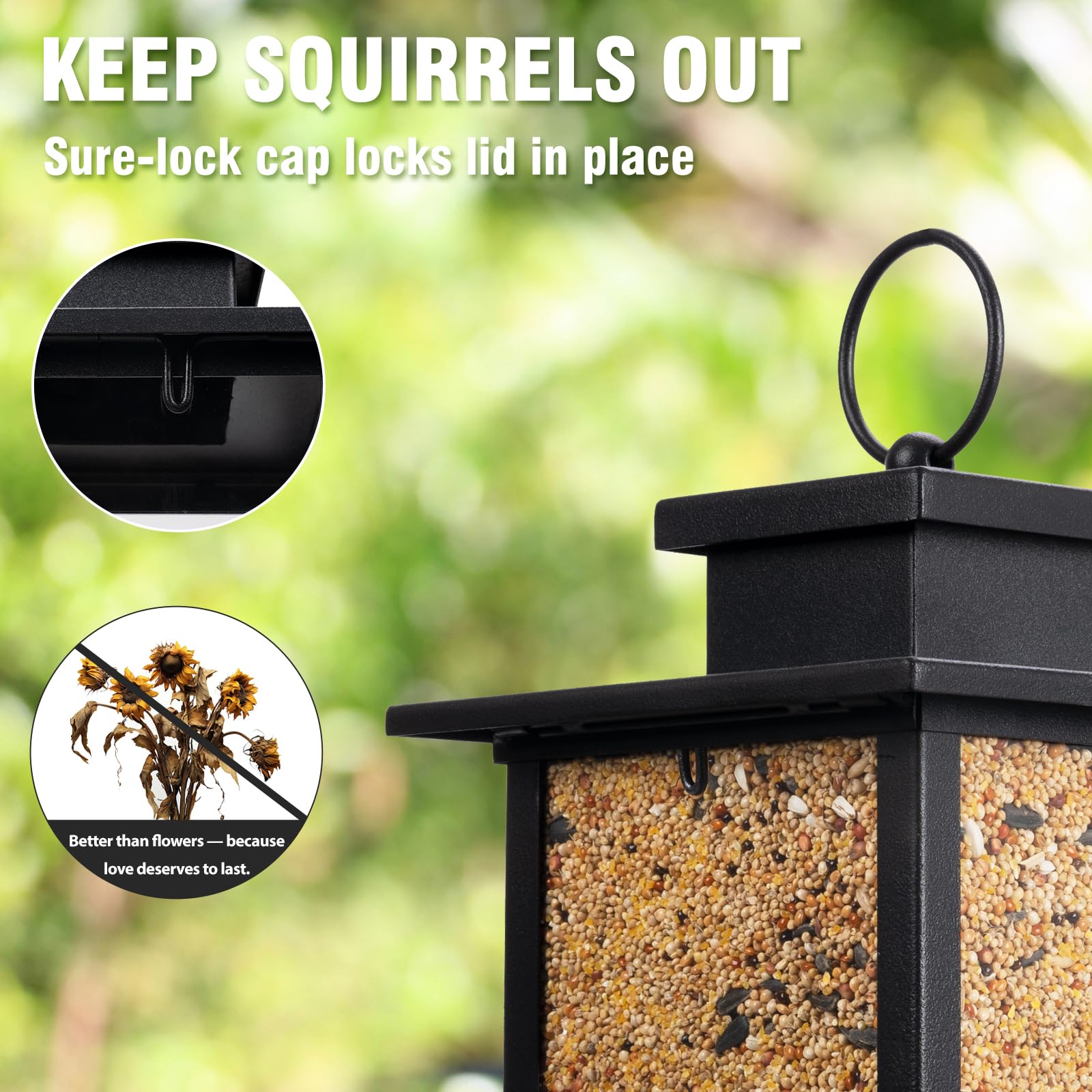 Airrioal 360-degree Cardinal Feeder viewed from all angles for easy bird watching.