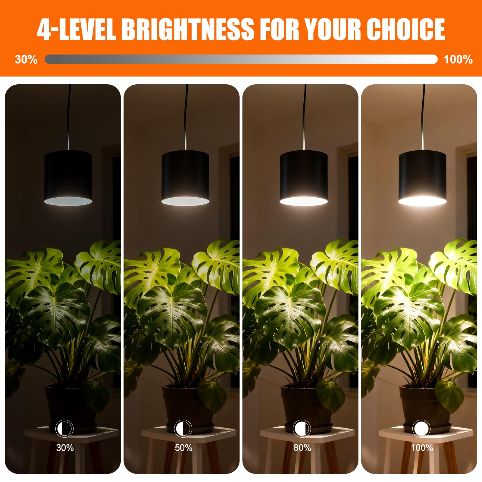 Airseafar full-spectrum light panel powering indoor plant growth and color-rich leaves
