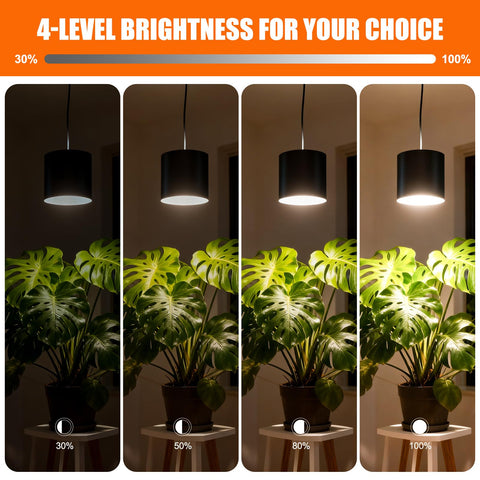 Airseafar full-spectrum light panel powering indoor plant growth and color-rich leaves