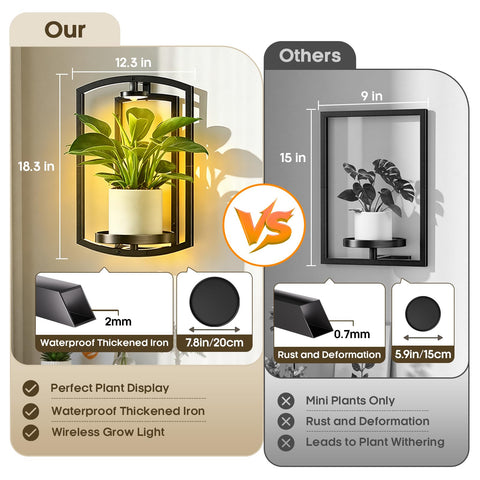 Aisdan wall plant holder offering 13 colors and 5 brightness levels