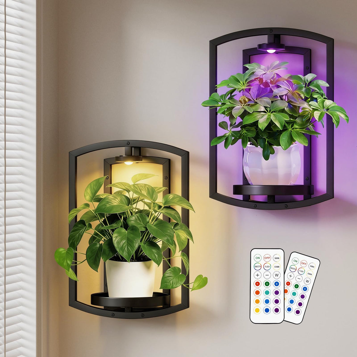 Aisdan wall plant holder with double-layer frame for living wall art
