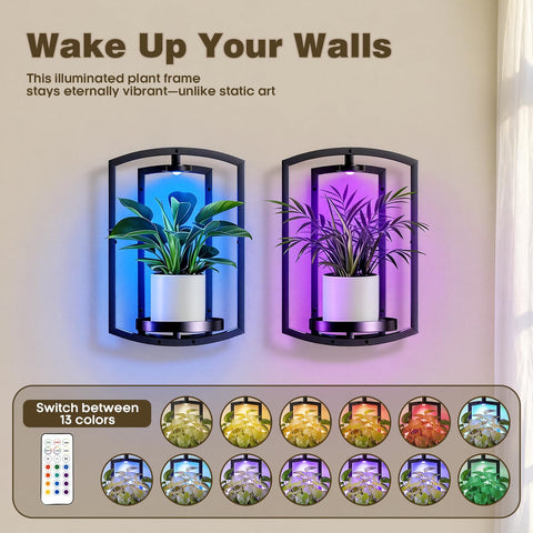 Aisdan wall plant holder with rechargeable battery powering lights
