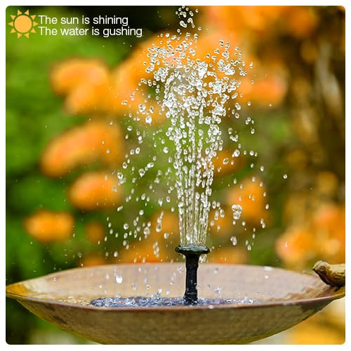 AISITIN water-shortage protection stops the pump when water runs low