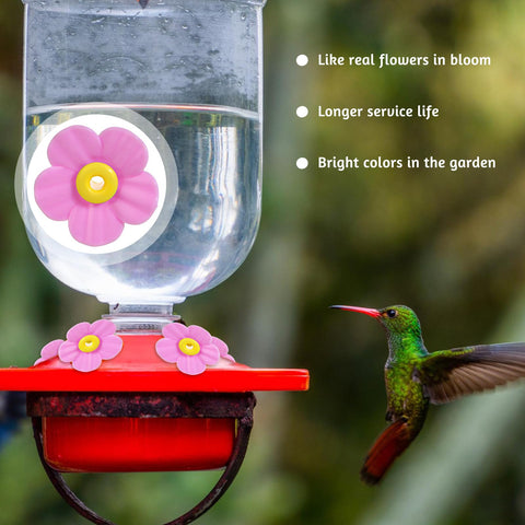 Aiyorse non-slip replacement flowers provide perches after long flights.