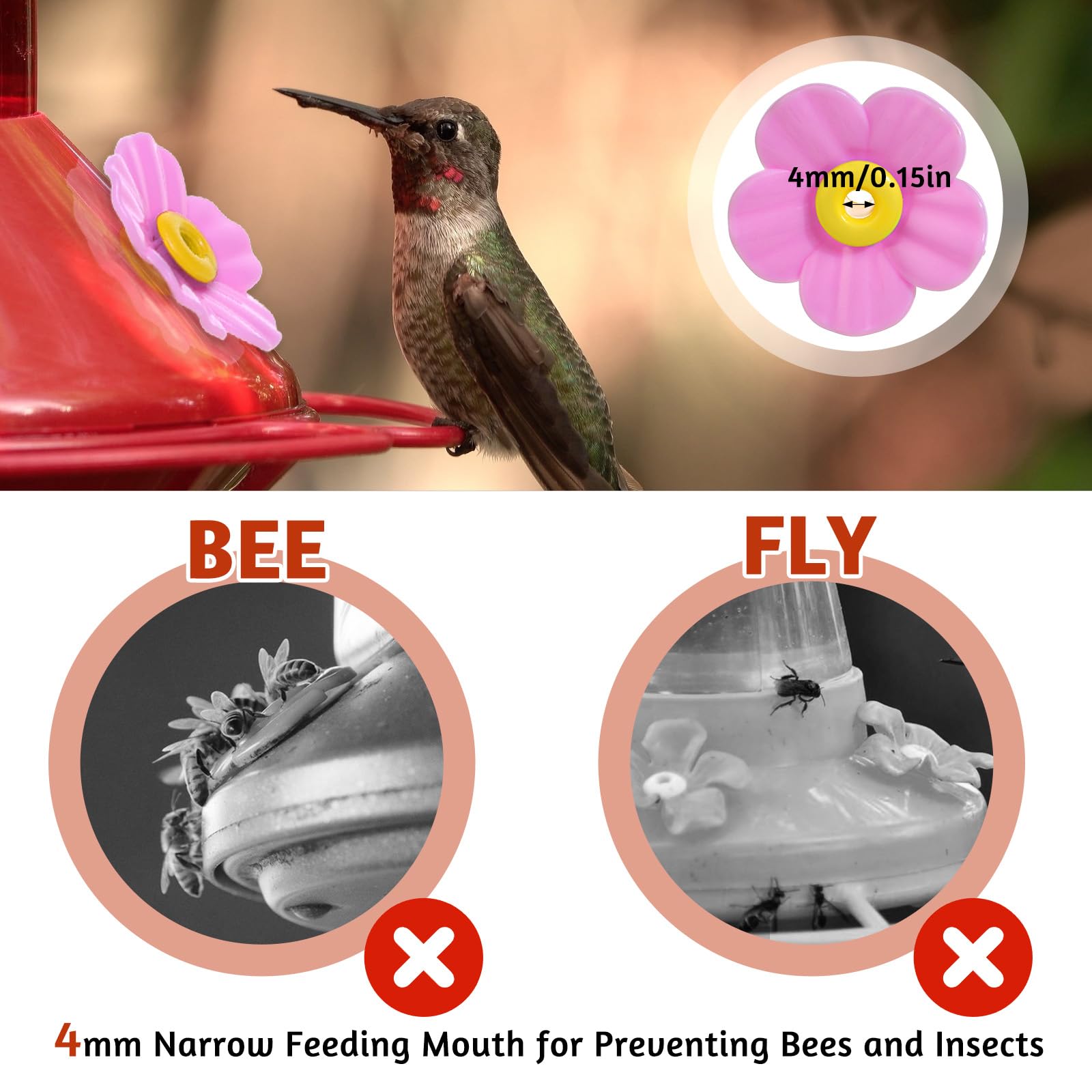 Aiyorse outdoor hanging feeder setup brightens garden with colorful blossoms.