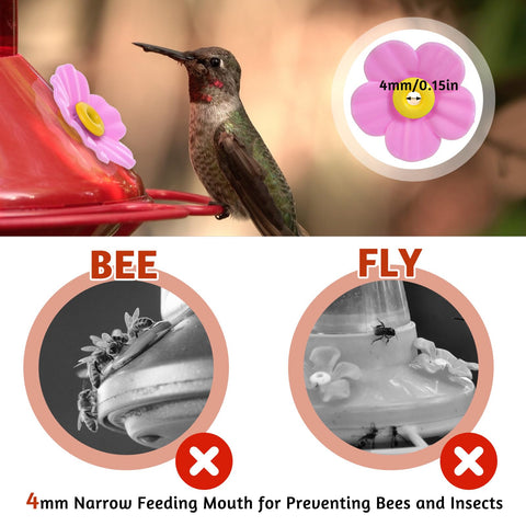 Aiyorse outdoor hanging feeder setup brightens garden with colorful blossoms.