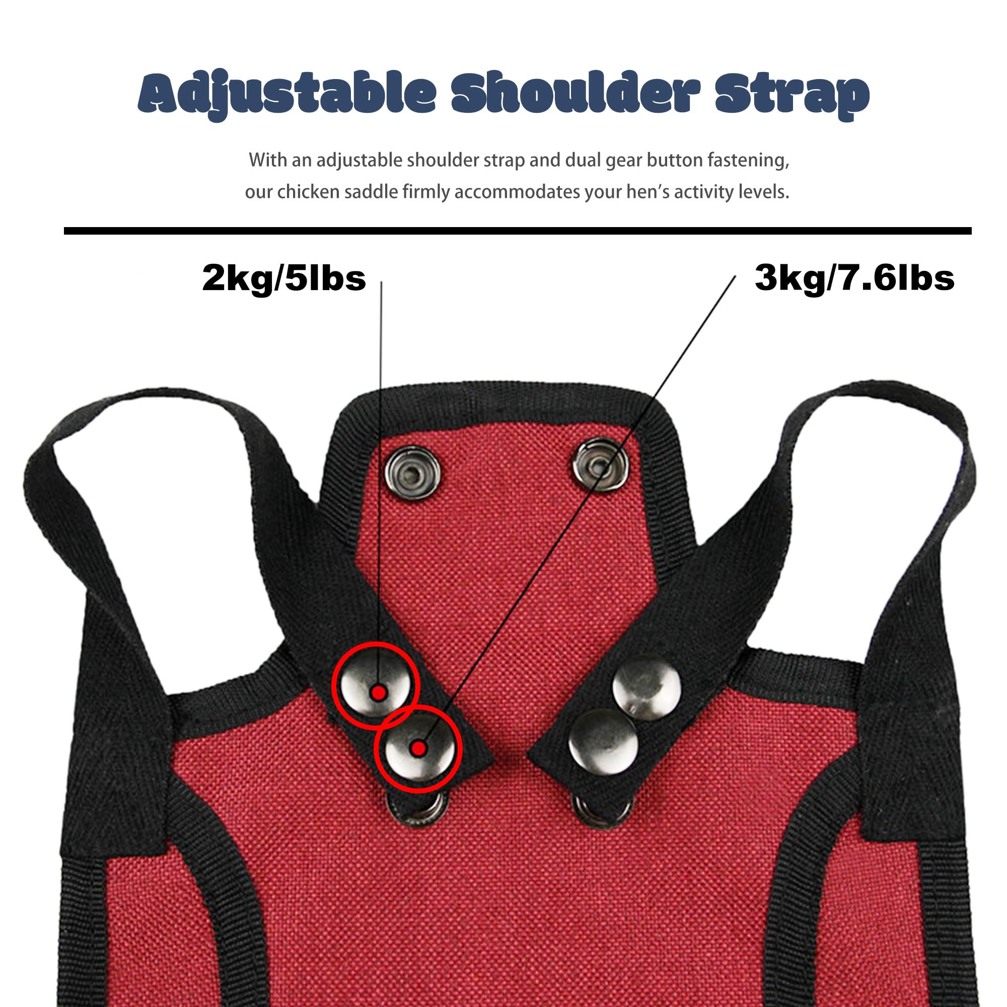 Ajqiomh purple chicken saddle back protector offers adjustable fit for active hens.