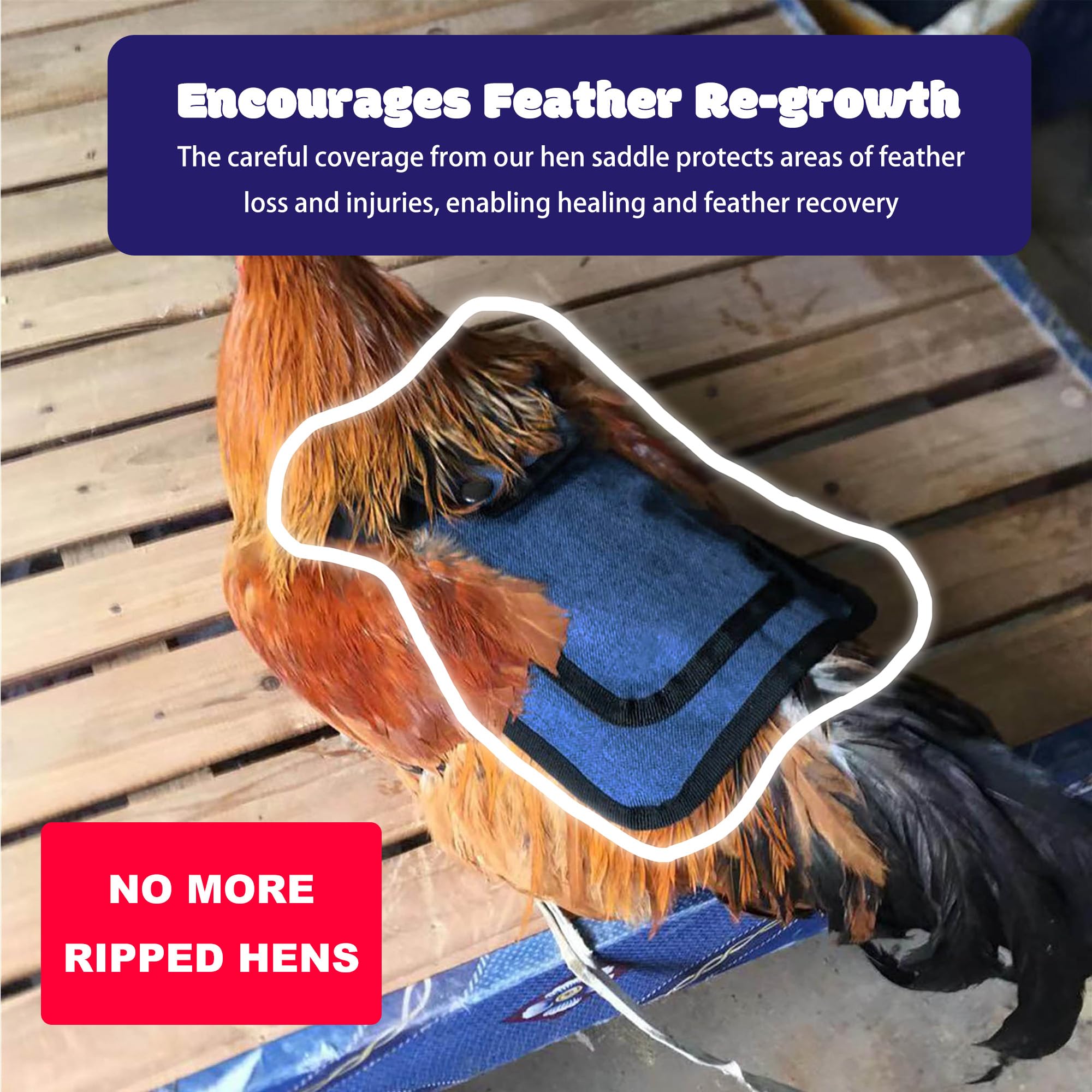 Ajqiomh red chicken saddle back protector guards hens during mating and reduces feather loss.