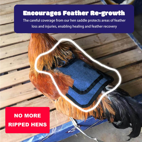 Ajqiomh red chicken saddle back protector guards hens during mating and reduces feather loss.