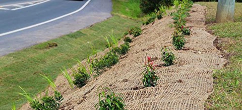 AK TRADING CO. Jute stabilization blanket contouring a hillside.