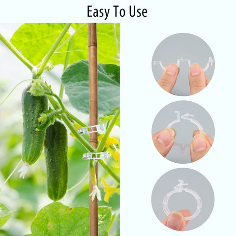 AK1980 Clip-on-strings setup highlights easy stake attachment without damaging vines.