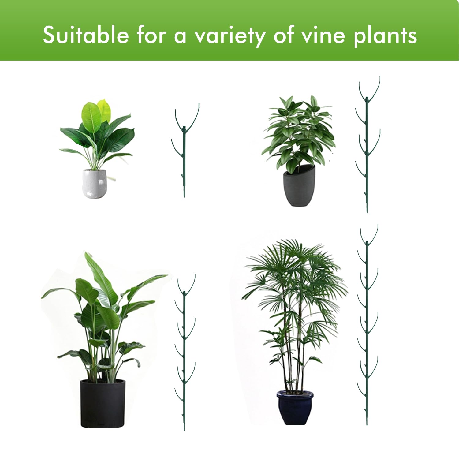 AK1980 eco-friendly plant stakes guide climbing plants toward light.