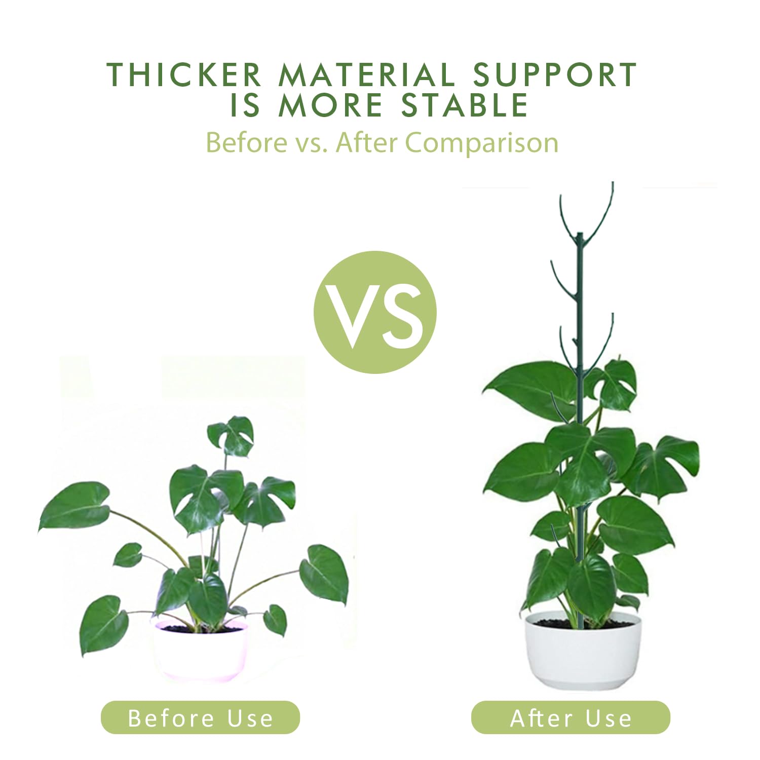 AK1980 promotes vertical growth for Monstera, Philodendron, and more.
