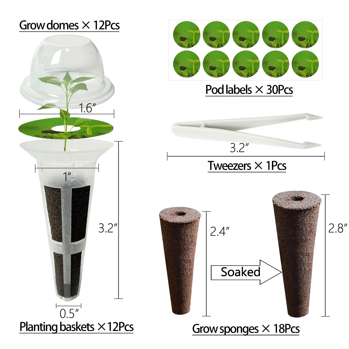 Aksiqee grow sponges arranged for efficient seed germination and moisture management