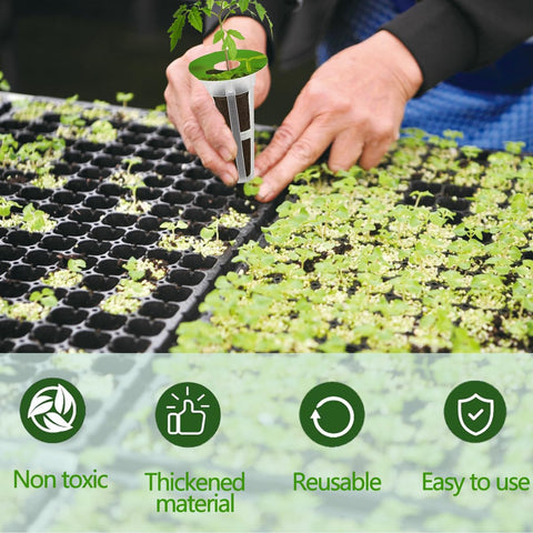 Aksiqee tweezer for precise seed placement and clean handling