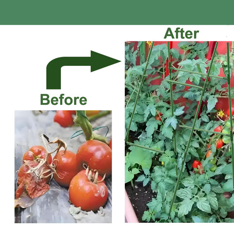 Alabzphsia Adjustable trellis size modification to fit garden beds