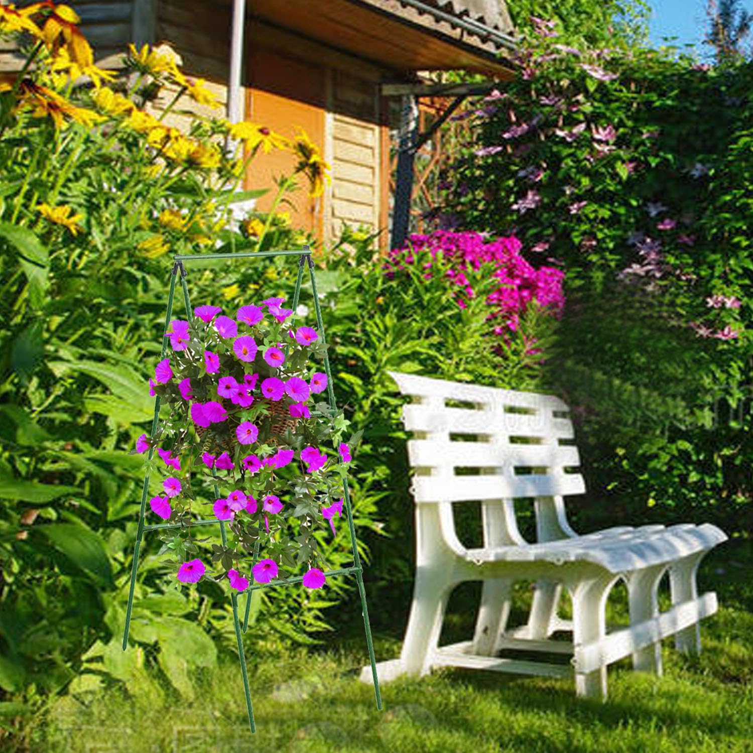 Alabzphsia Climbing plants support for tomatoes and beans