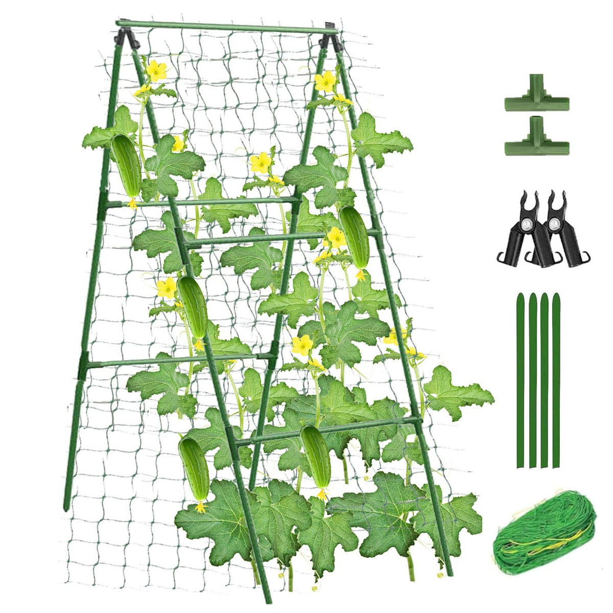Alabzphsia Garden Cucumber Trellis assembly showing sturdy setup for climbing plants